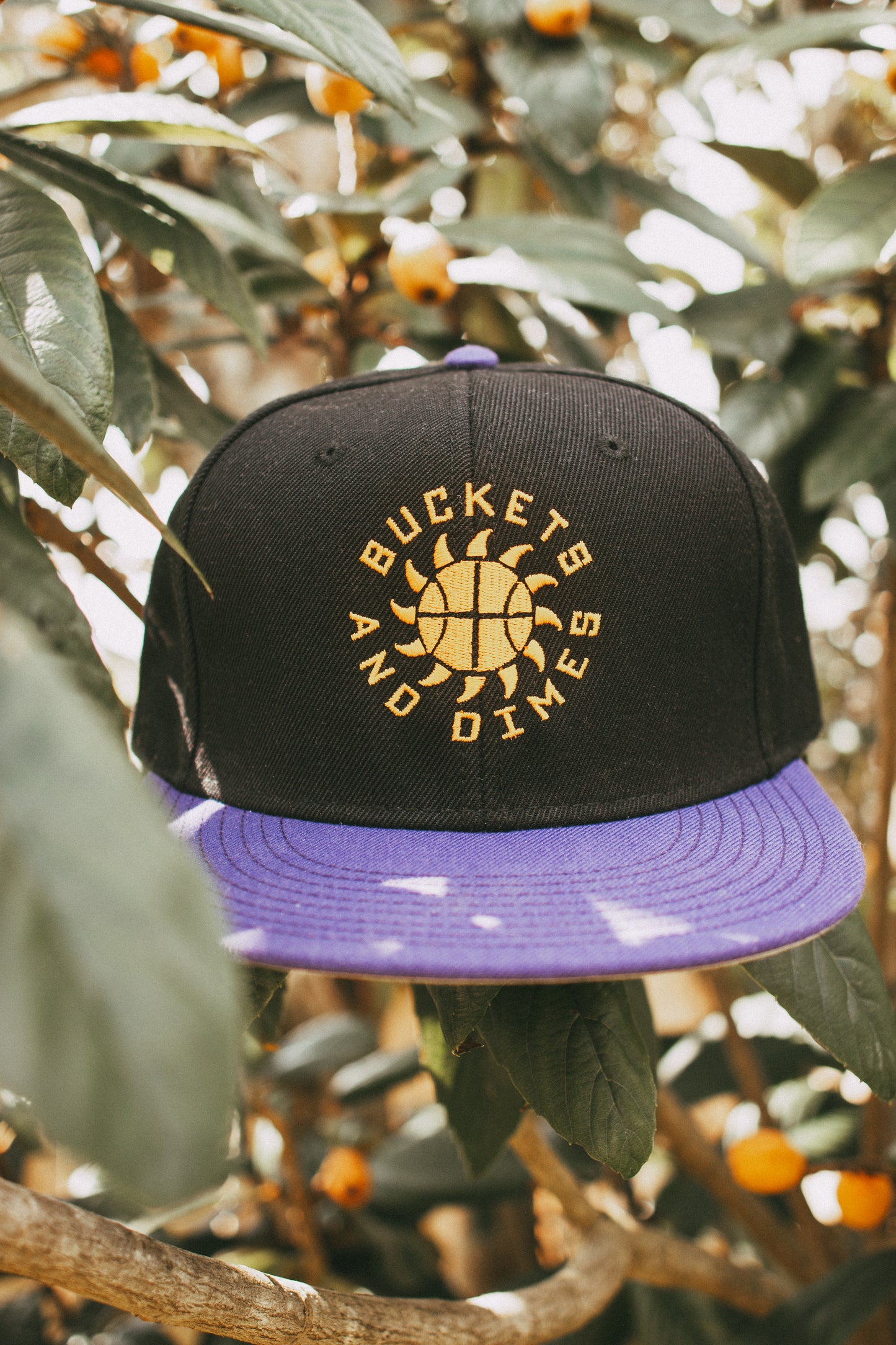 Showtime Snapback