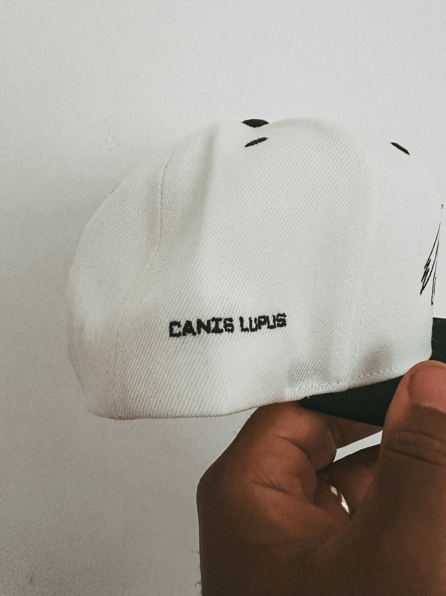 Canis Lupus Snapback- Off White/Black
